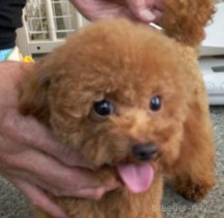 大河くん1枚目